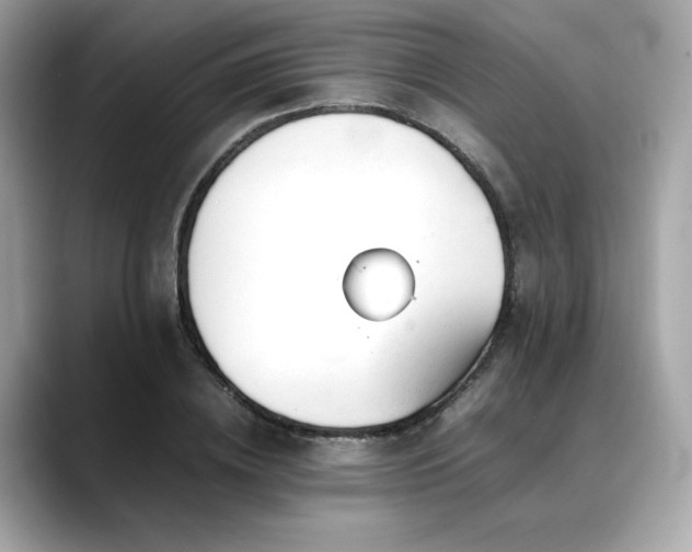 X0000088700836200705311213