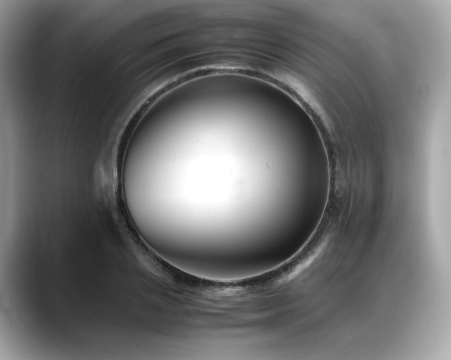 X0000088700837200705311213