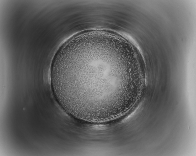 X0000088700839200705311213