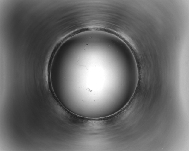 X0000088700840200705311213
