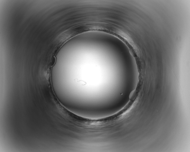 X0000088700841200705311213