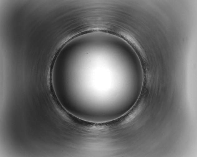 X0000088700842200705311213