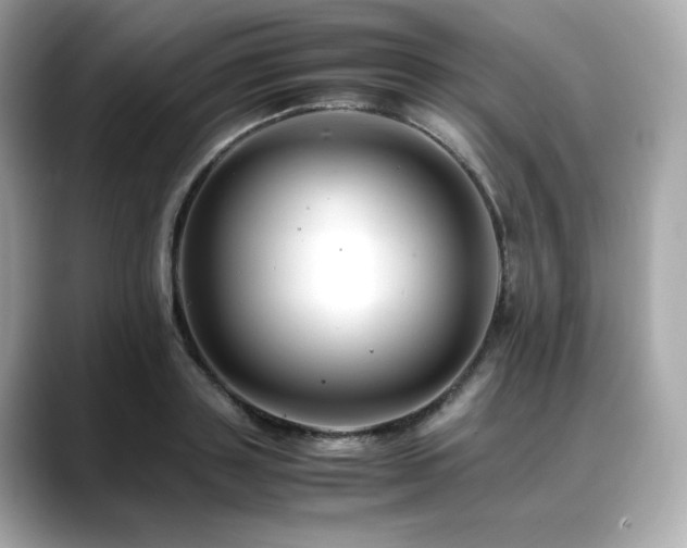 X0000088700843200705311214