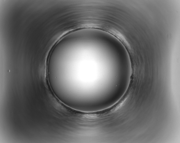 X0000088700844200705311214