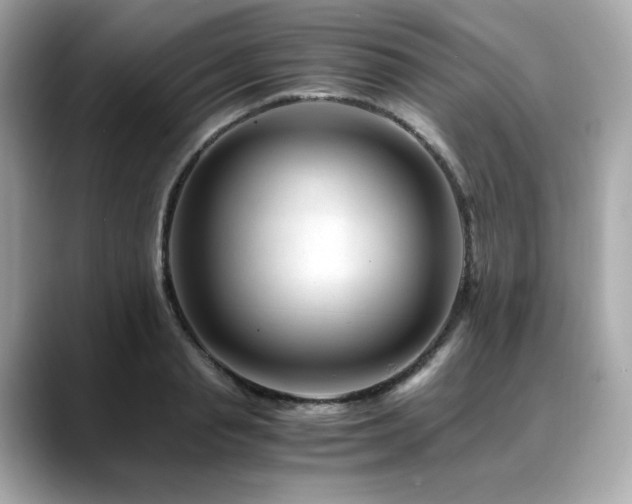 X0000088700845200705311214