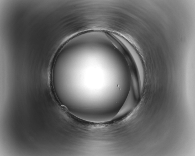 X0000088700846200705311214
