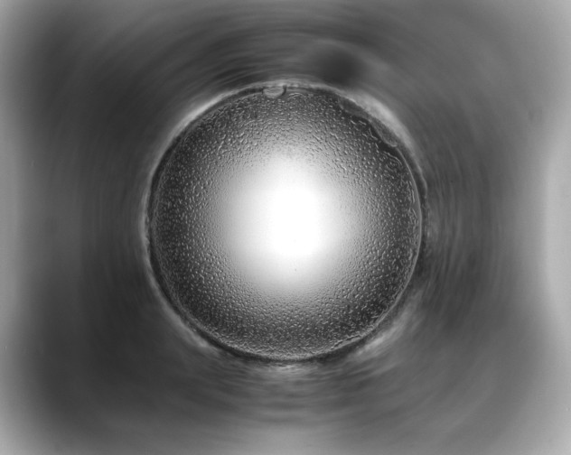 X0000088700847200705311214