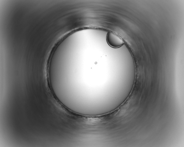 X0000088700848200705311214