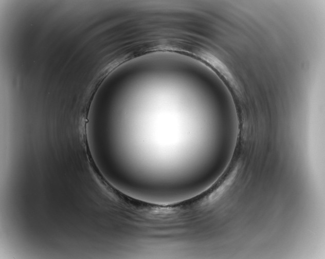 X0000088700849200705311214