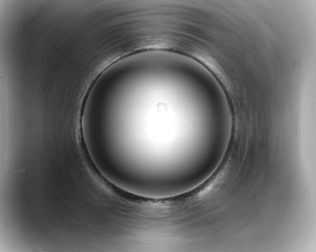 X0000088700850200705311214