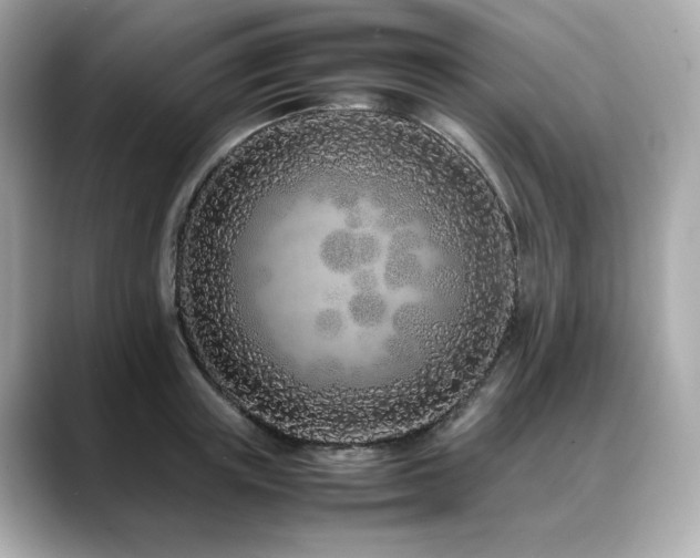 X0000088700851200705311214