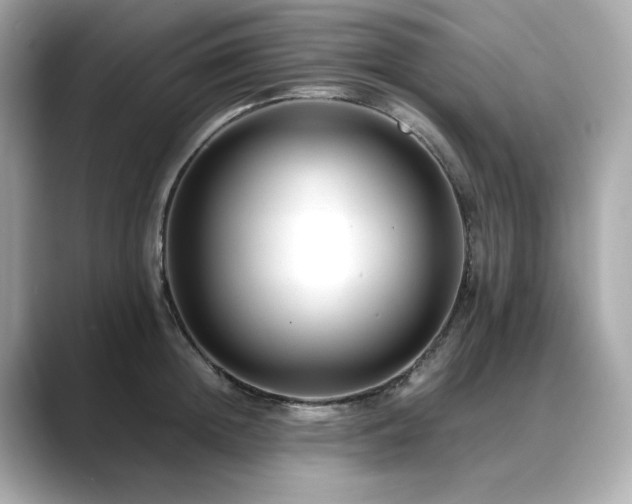 X0000088700852200705311214