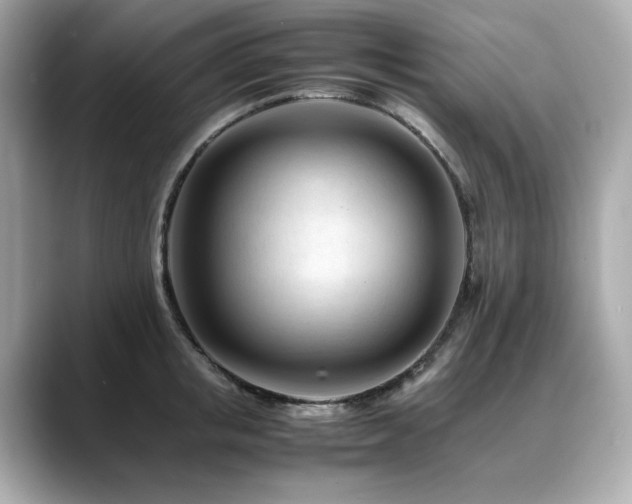 X0000088700853200705311214