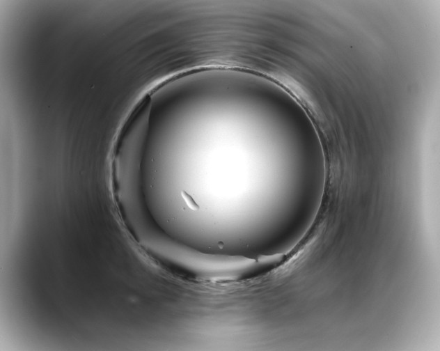X0000088700854200705311214