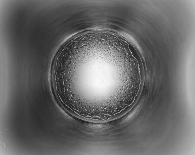 X0000088700855200705311214