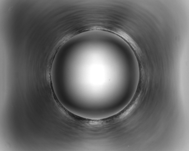 X0000088700857200705311214