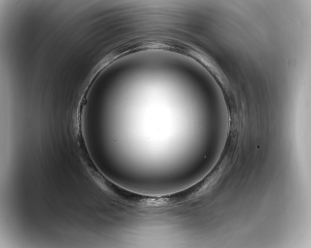 X0000088700858200705311214