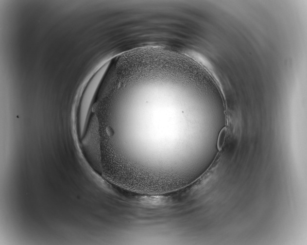 X0000088700859200705311214