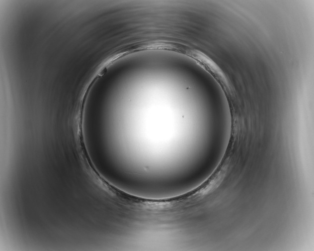 X0000088700860200705311214