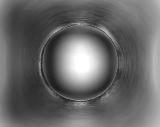 X0000088700861200705311214