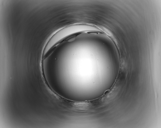 X0000088700863200705311214