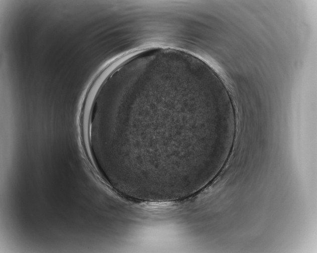 X0000088700864200705311214