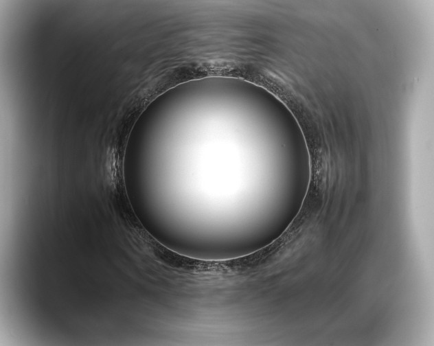 X0000088700866200705311213