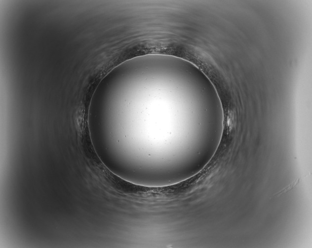X0000088700867200705311213