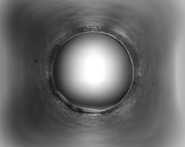 X0000088700869200705311213