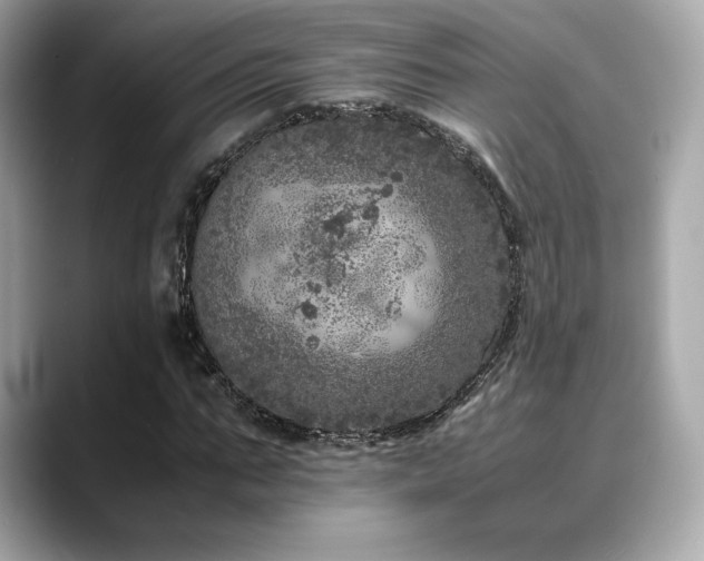 X0000088700871200705311213