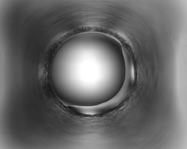 X0000088700872200705311213