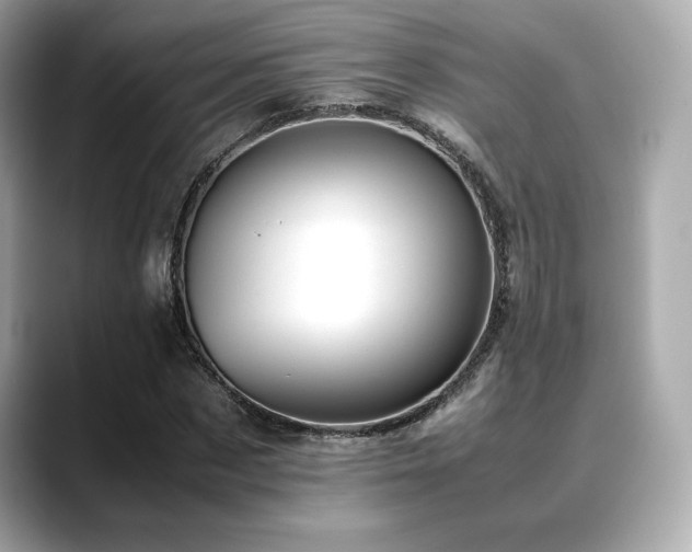 X0000088700873200705311213