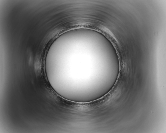 X0000088700874200705311213
