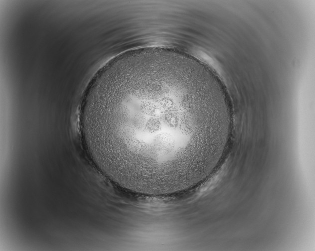X0000088700875200705311213