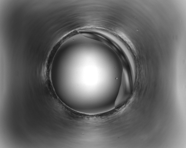 X0000088700876200705311213