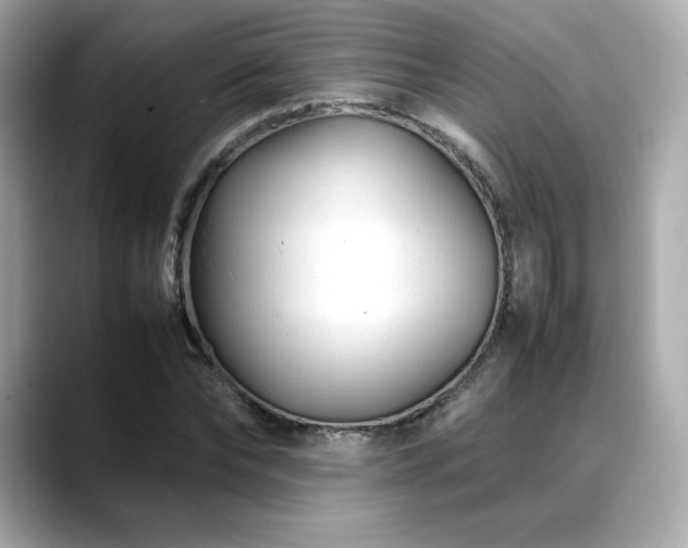 X0000088700878200705311213