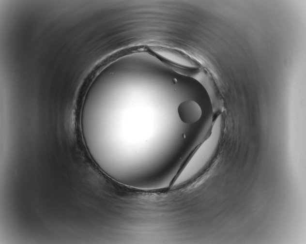 X0000088700880200705311213