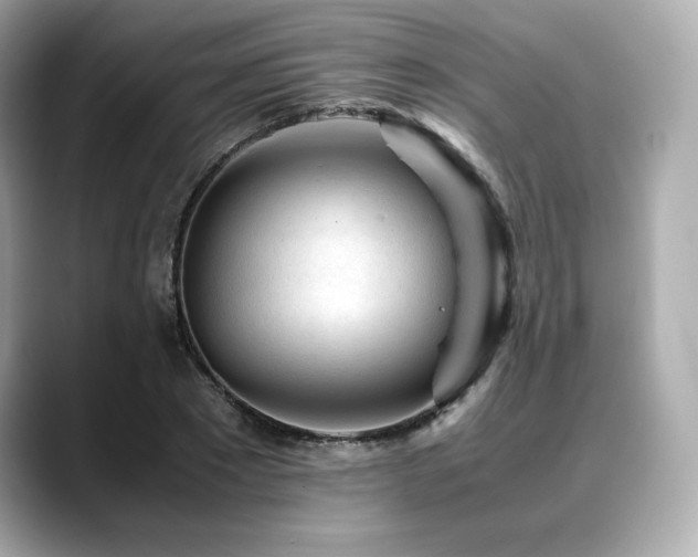 X0000088700881200705311213