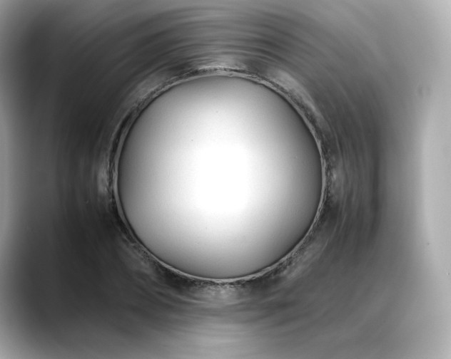 X0000088700882200705311213