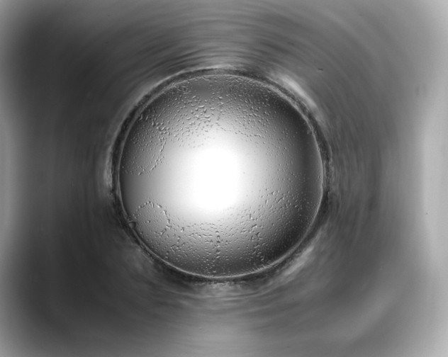X0000088700883200705311213