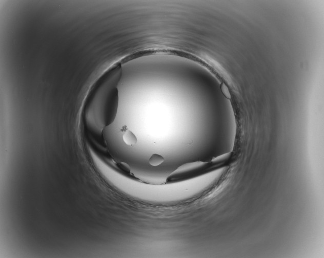 X0000088700885200705311213