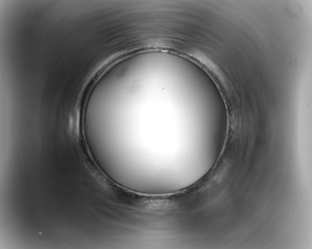 X0000088700886200705311213