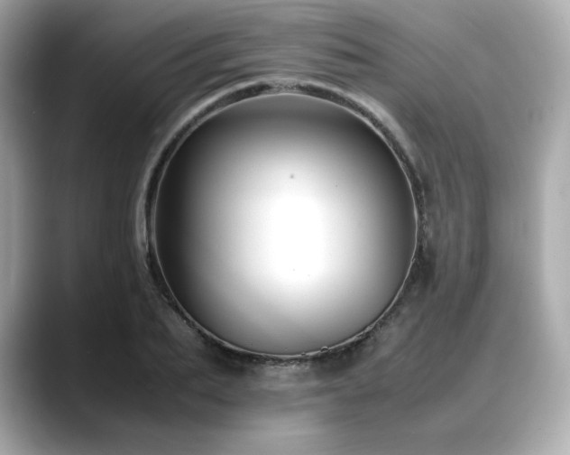 X0000088700887200705311213