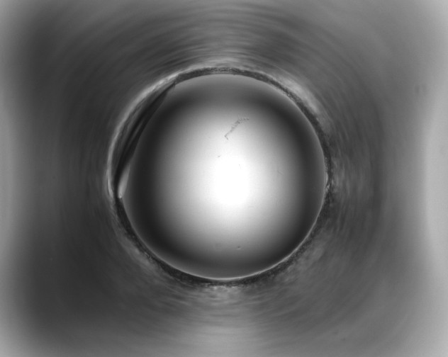 X0000088700888200705311213