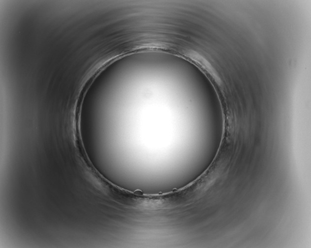 X0000088700890200705311213