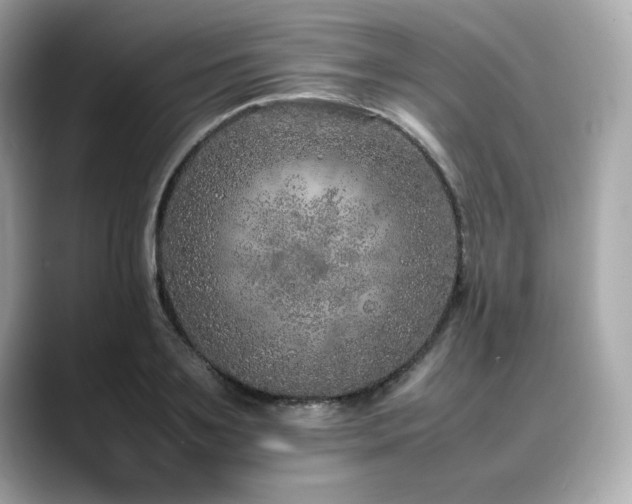 X0000088700891200705311213