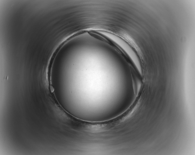 X0000088700892200705311213