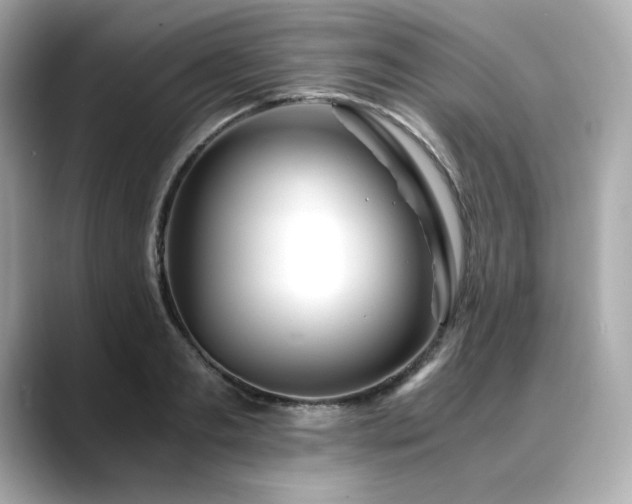 X0000088700893200705311213