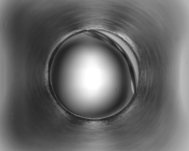 X0000088700894200705311213