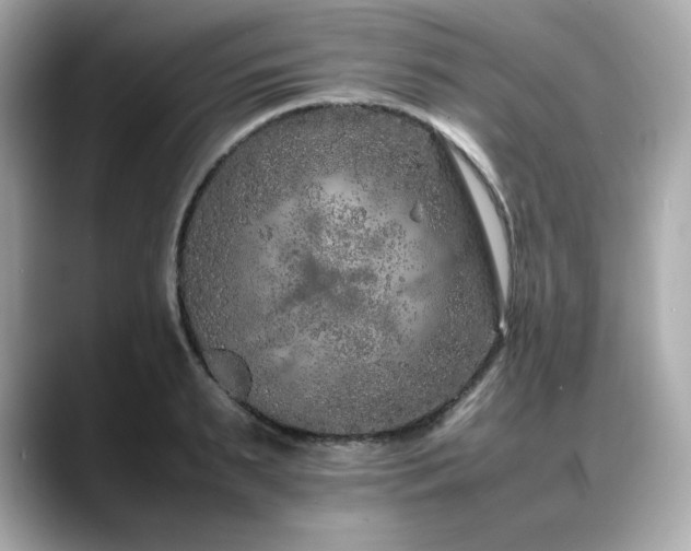X0000088700895200705311213
